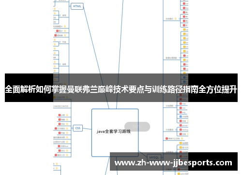 全面解析如何掌握曼联弗兰巅峰技术要点与训练路径指南全方位提升