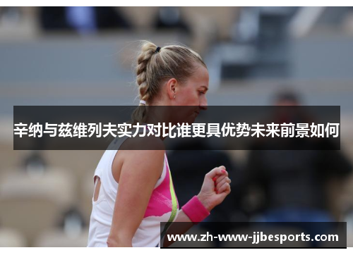 辛纳与兹维列夫实力对比谁更具优势未来前景如何